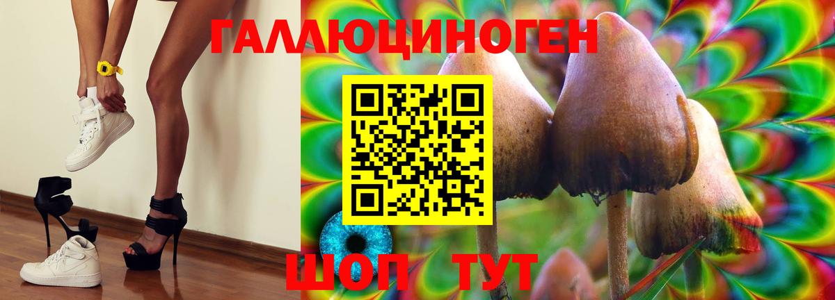 Тобольск  Псилоцибиновые грибы мухоморы  Вход с VPN 